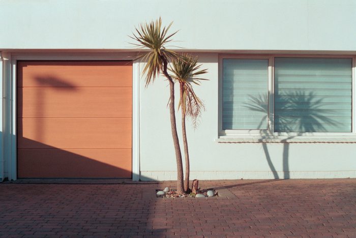 Palm Sprigs, 2018 © Ian Howorth, courtesy Open Doors Gallery