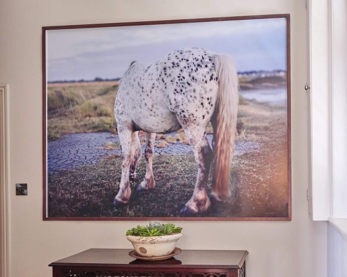 Robin Friend, Horse, New Forest, 2009 Archival Pigment Print 75 x 60inch © Robin Friend courtesy of Open Doors Gallery