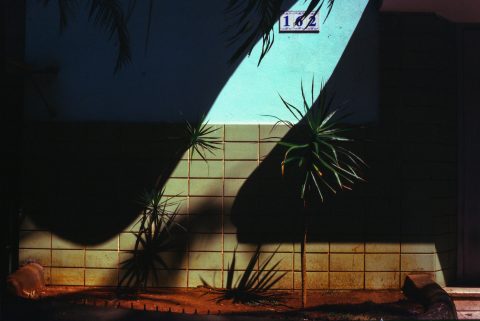 Ian Howorth: 162 - Open Doors Gallery