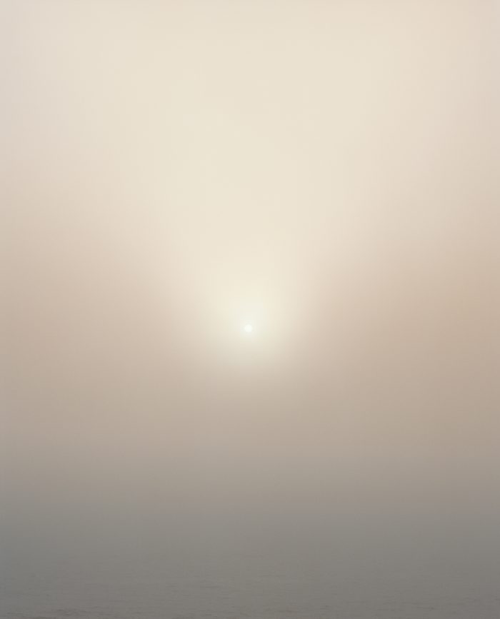 Mist, 2021, Max Miechowski