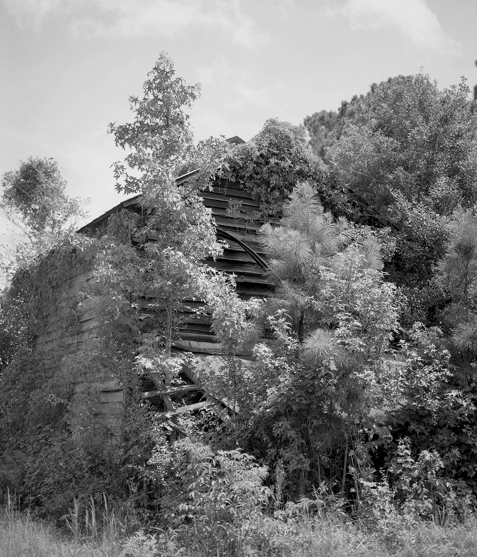 Old Plantation Barn, 2021