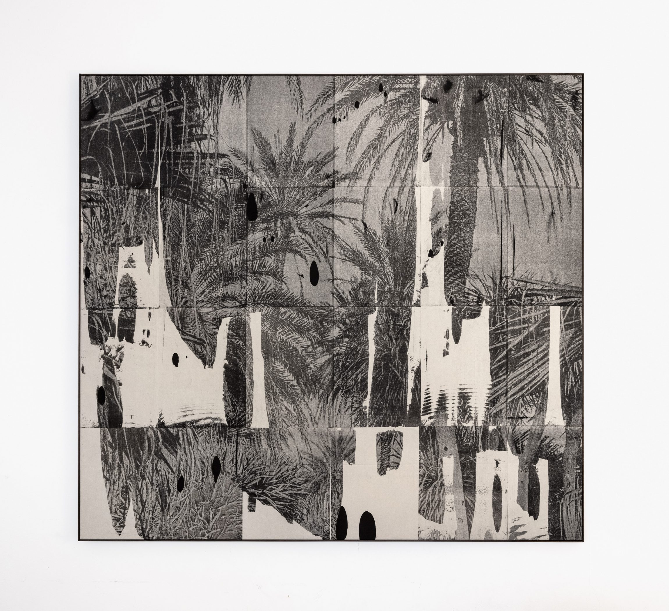 date-palms1-1-2300x2101.jpg