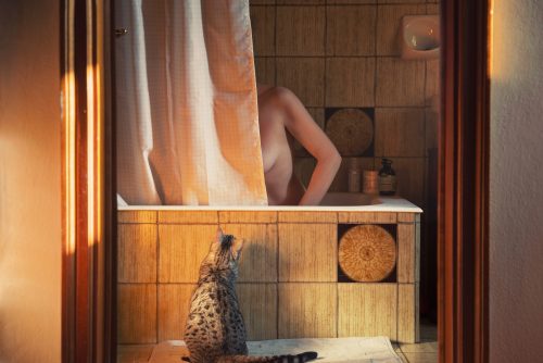 Giorgia Bellotti, Open Doors Gallery