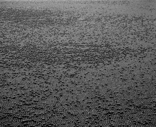 Mustafah Abdulaziz | Open Doors Gallery