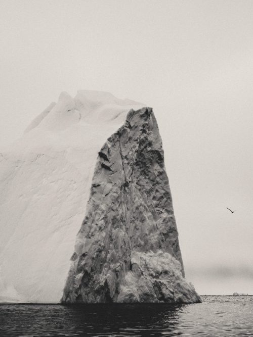 Mustafah Abdulaziz | Open Doors Gallery