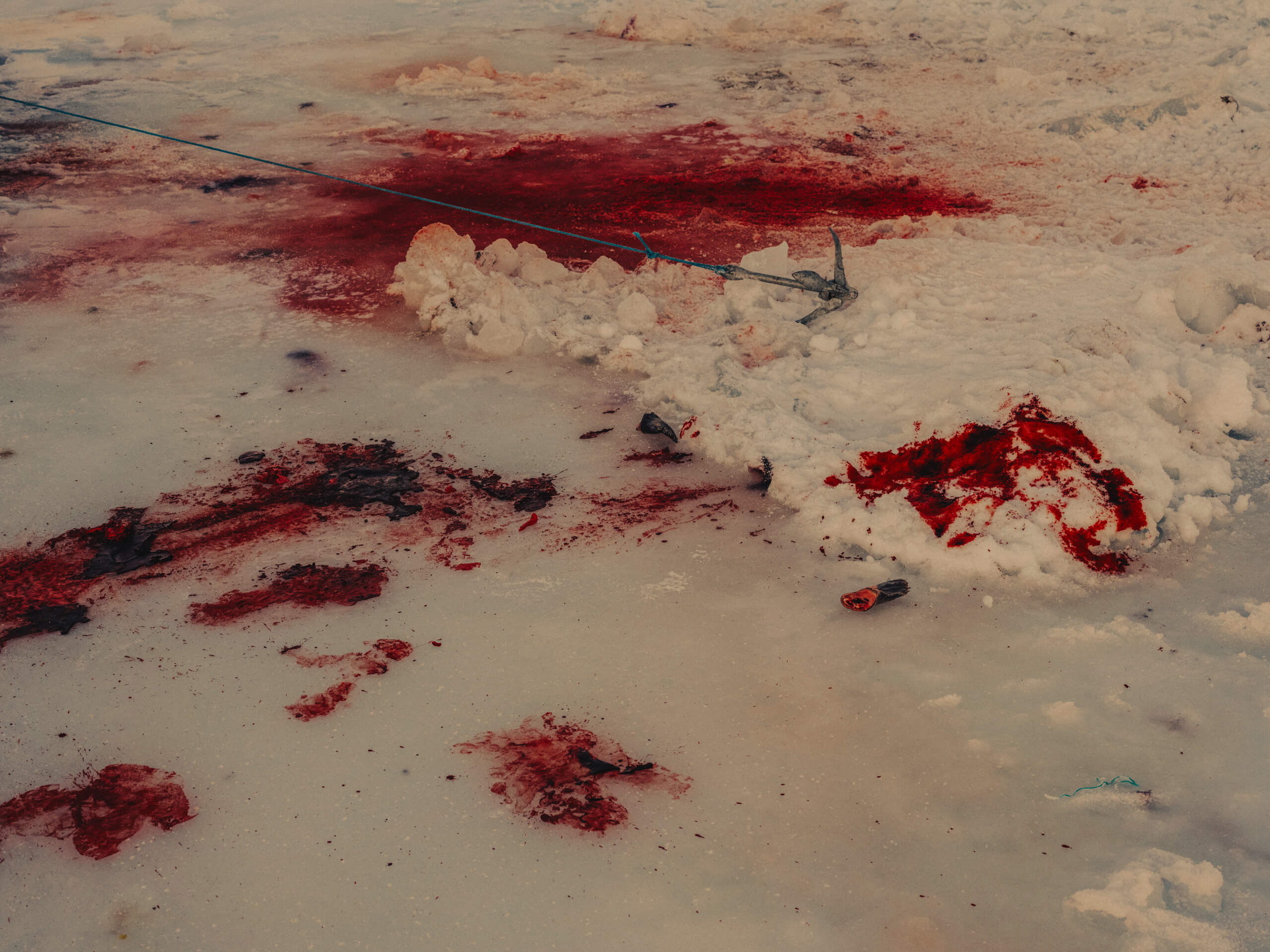 Mustafah Abdulaziz | Open Doors Gallery