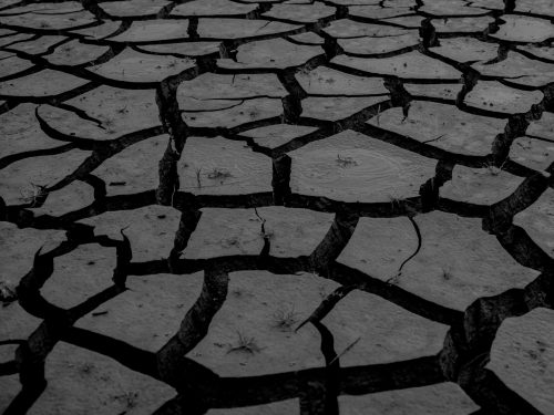 Mustafah Abdulaziz | Open Doors Gallery