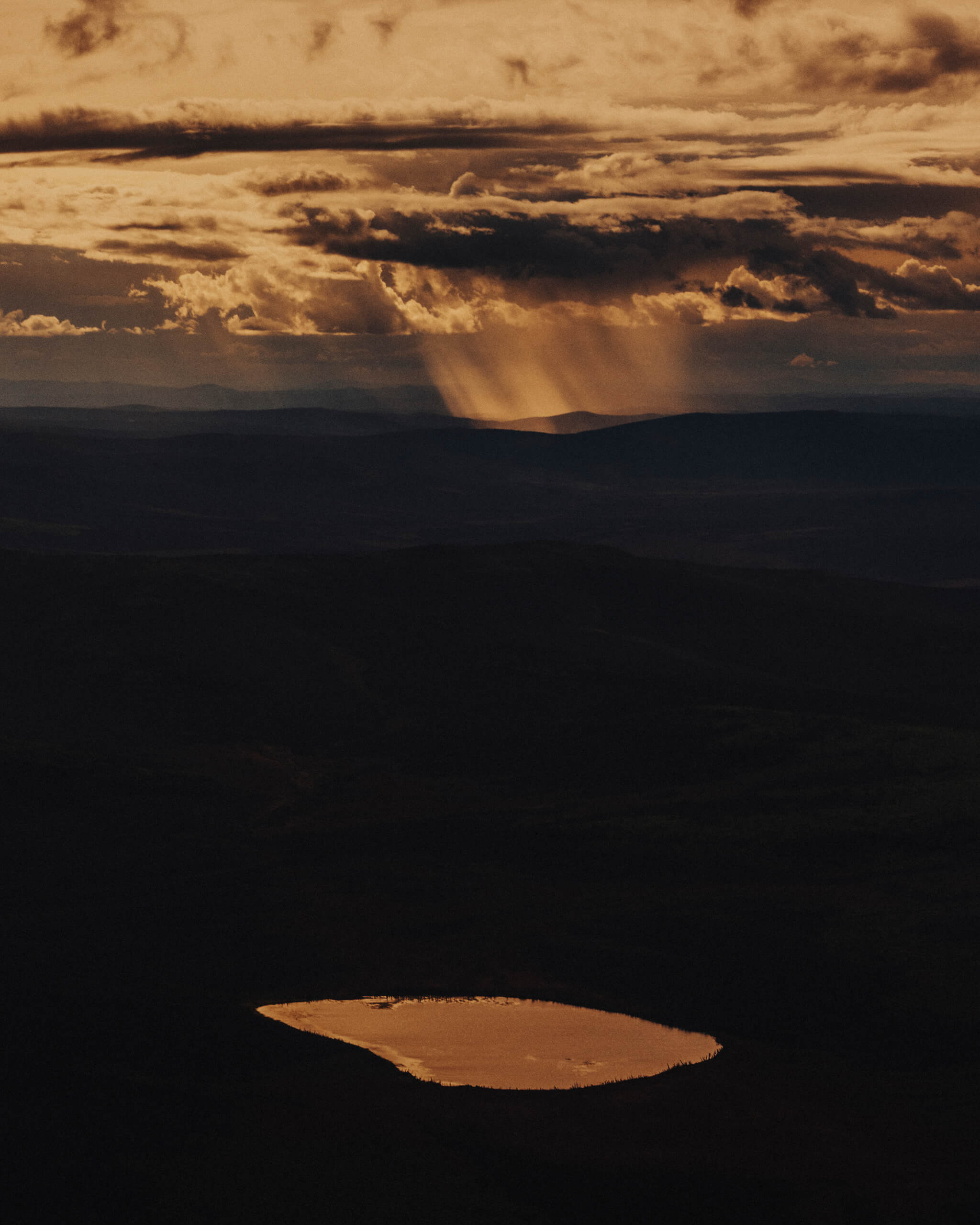 Mustafah Abdulaziz | Open Doors Gallery