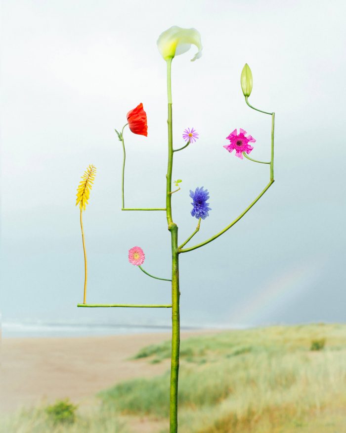 Jennifer Latour | Open Doors Gallery | Bound Species