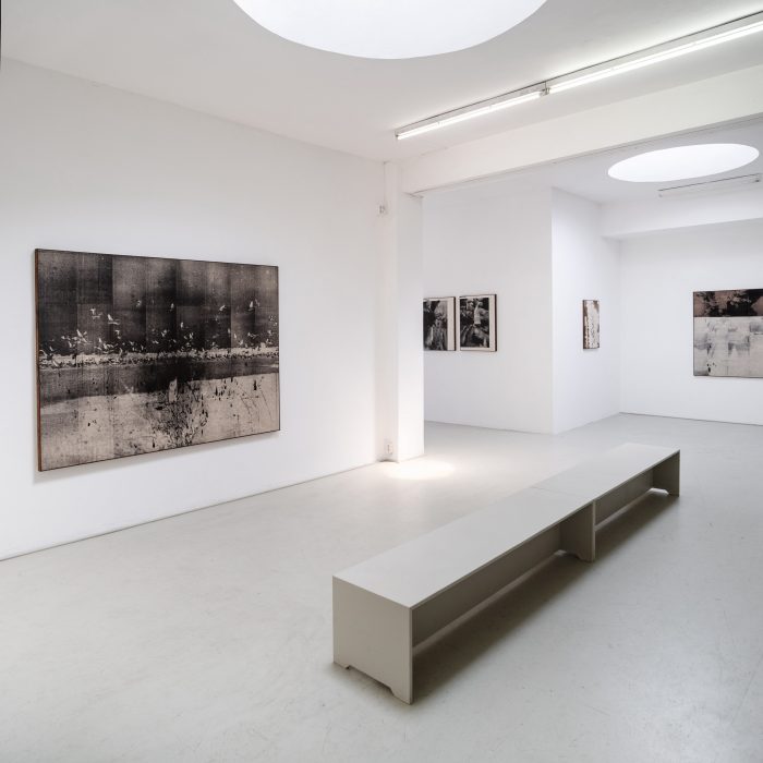 Wysocka / Pogo: Heron Flock, 1912, 2025
