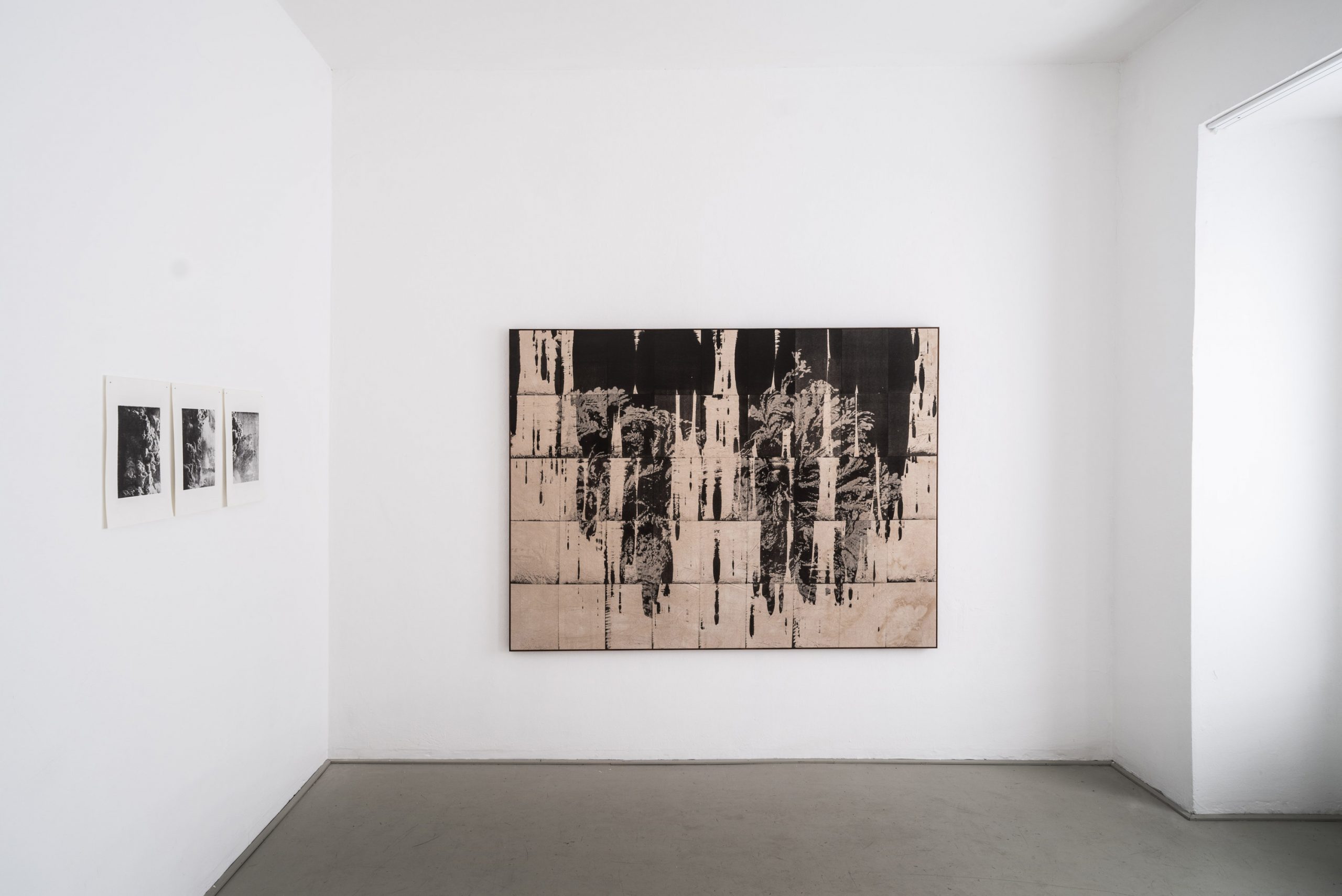 Wysocka / Pogo: Botanical Studies, 2025