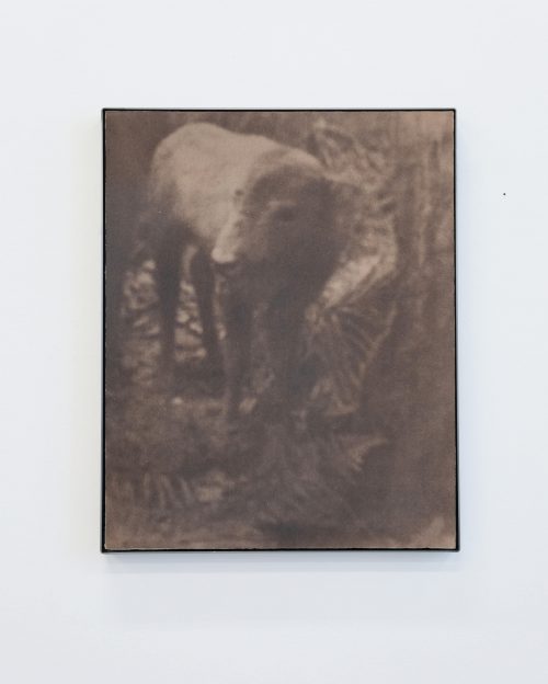 Justus de Rode: Distant thunder proclaims the approach of vivifying rain, 2025