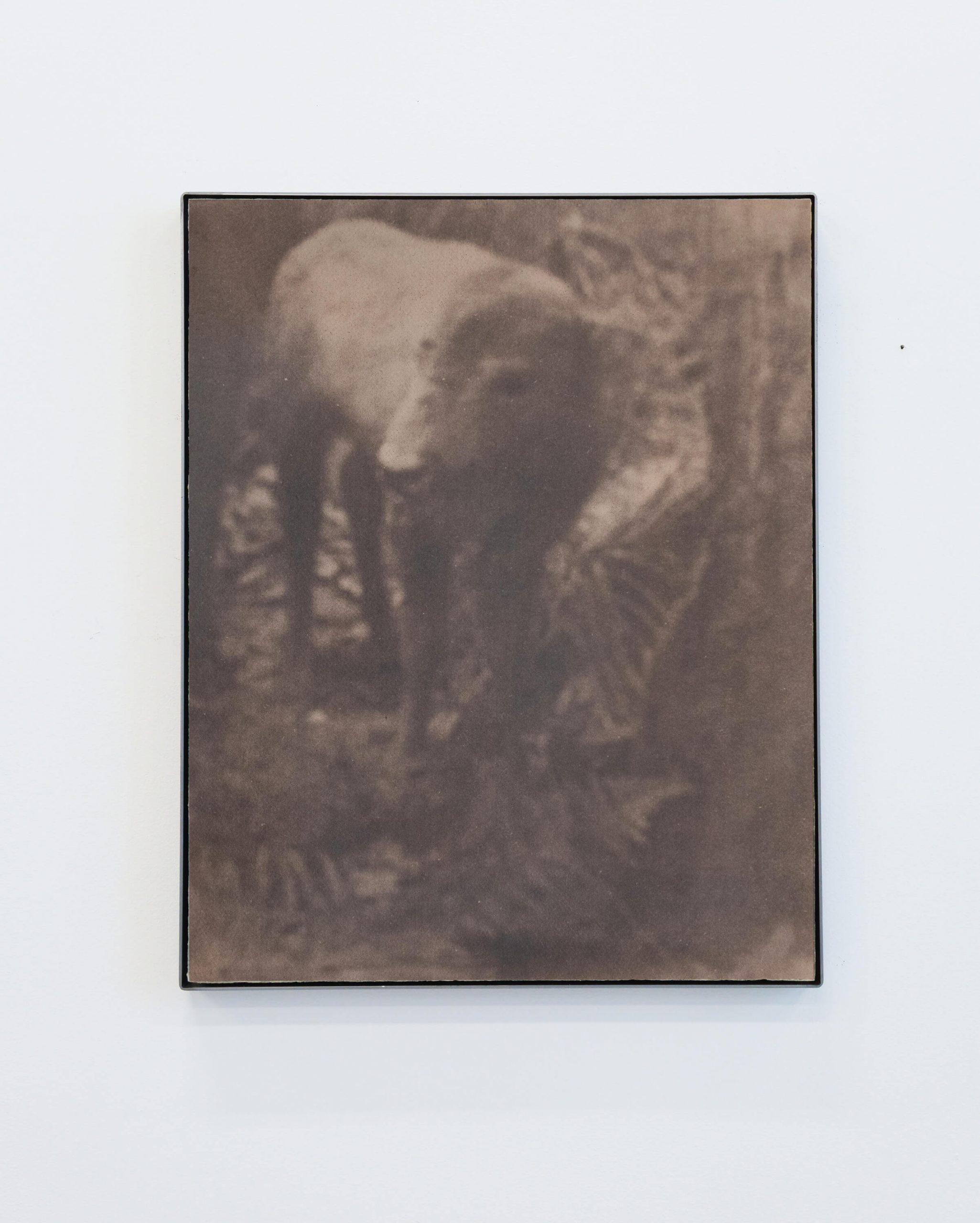 Justus de Rode: Distant thunder proclaims the approach of vivifying rain, 2025