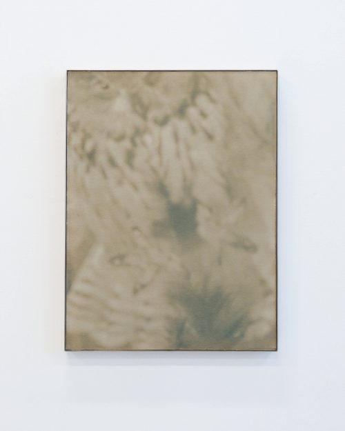 Justus de Rode: One is treated to the sight of the wild, 2024