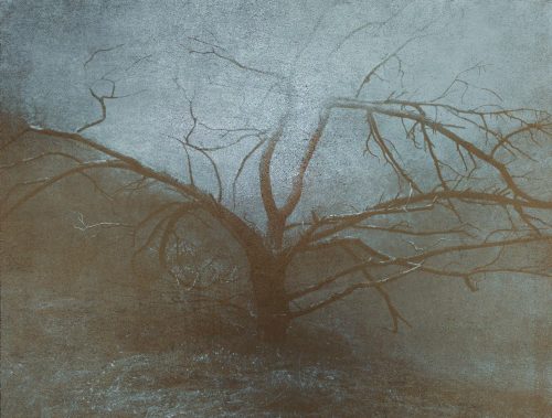 Kristoffer Axen | Photographs