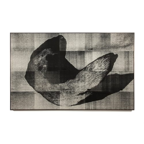 Wysocka / Pogo | Open Doors Gallery
