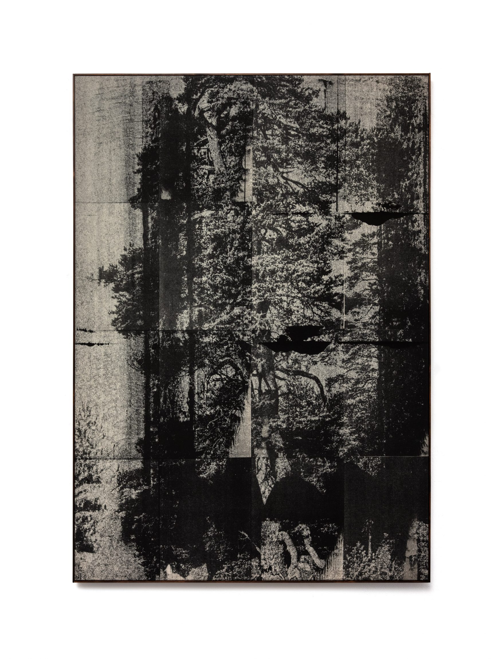 Wysocka / Pogo: Lone Pine no.11, 2025 - Open Doors Gallery