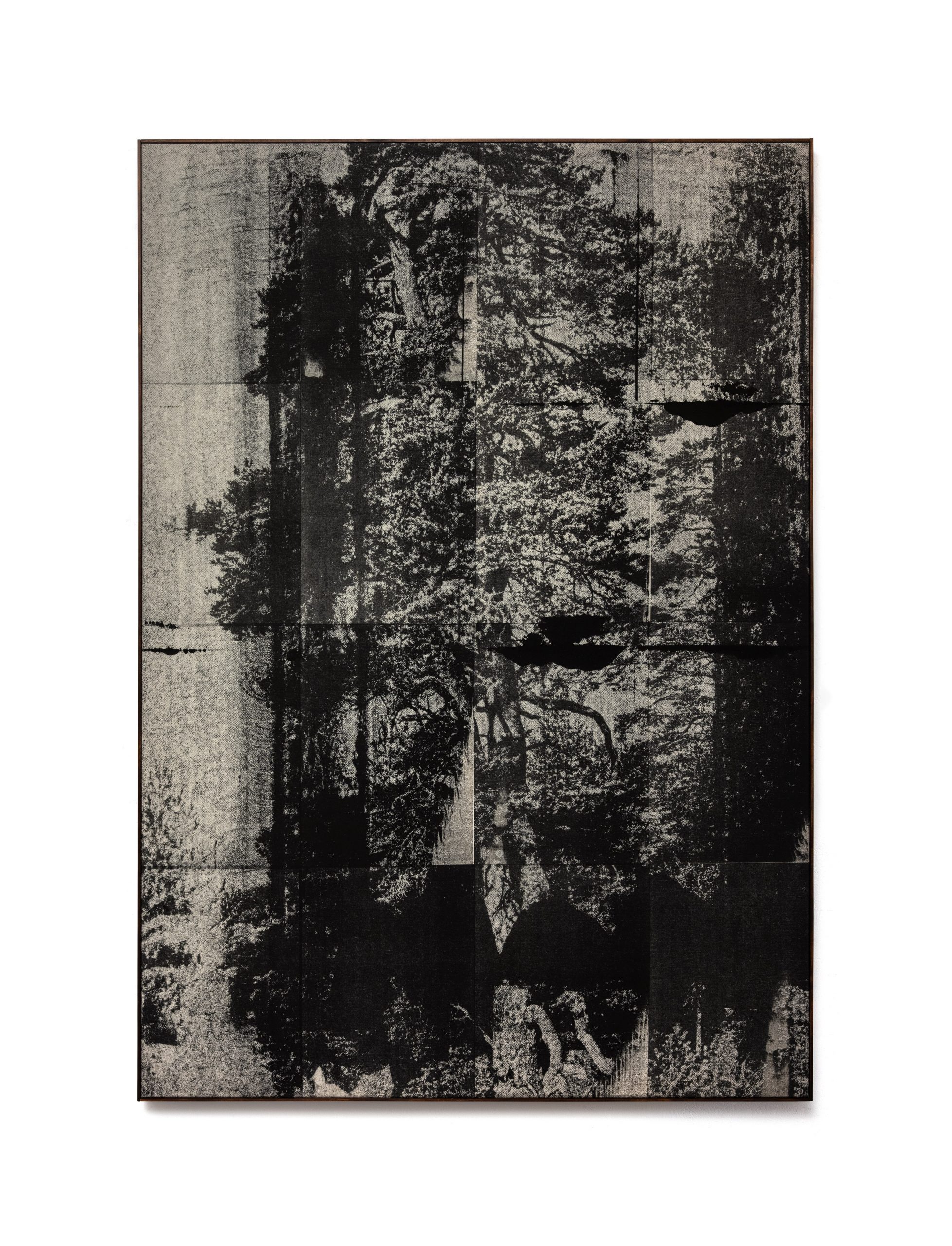 Wysocka / Pogo: Lone Pine no.11, 2025