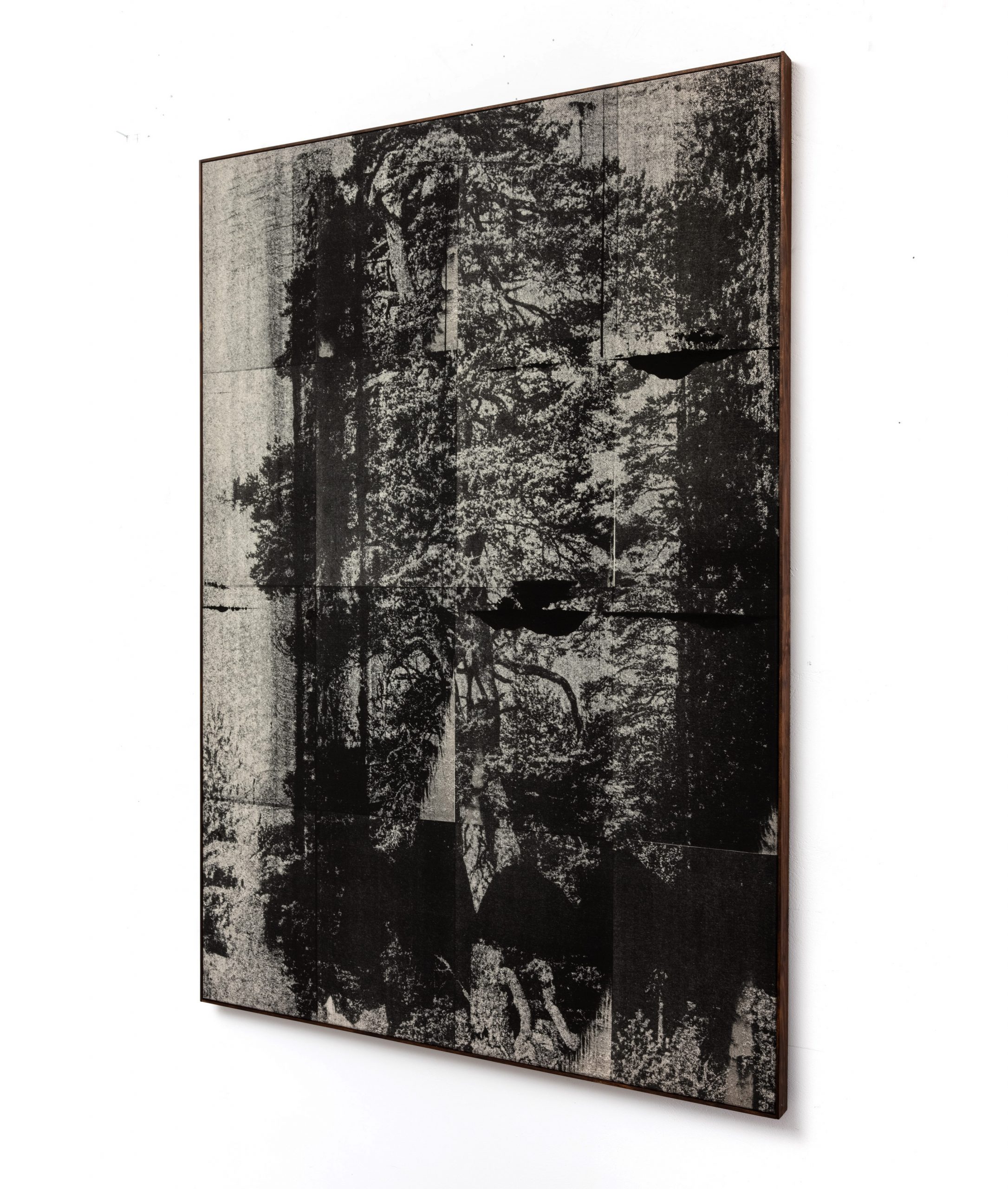 Wysocka / Pogo: Lone Pine no.11, 2025