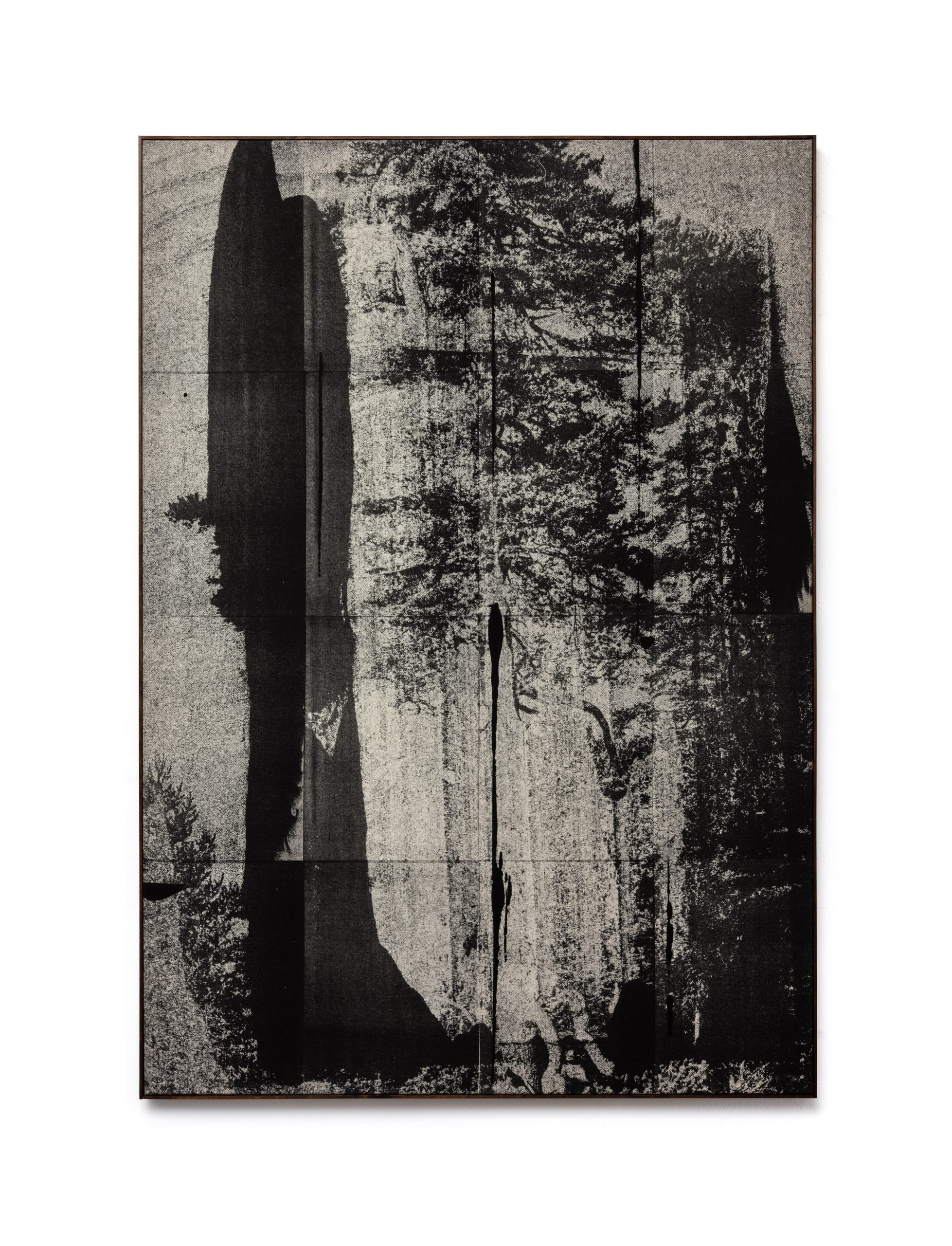 Wysocka / Pogo: Lone Pine no.7, 2025