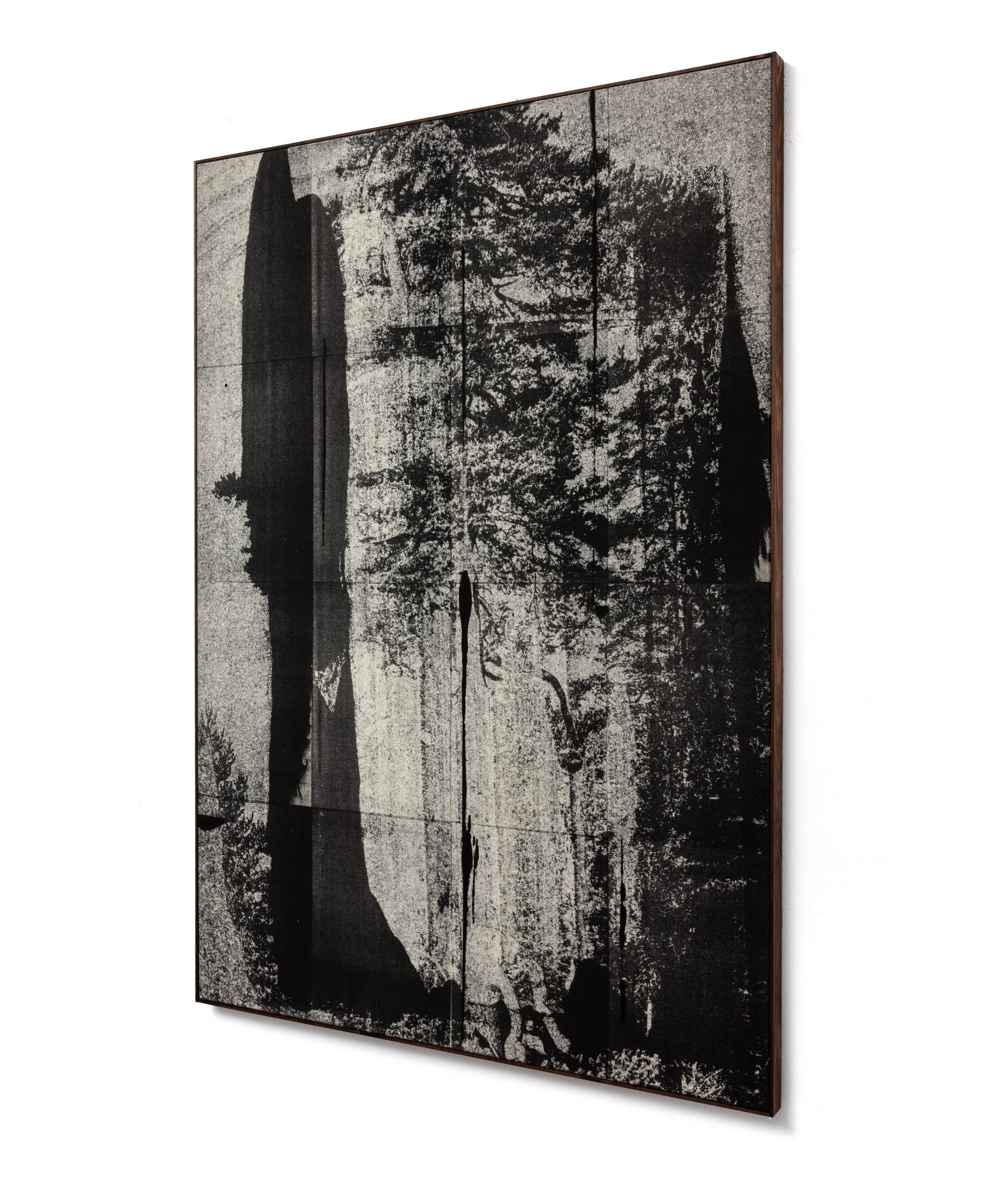 Wysocka / Pogo: Lone Pine no.7, 2025