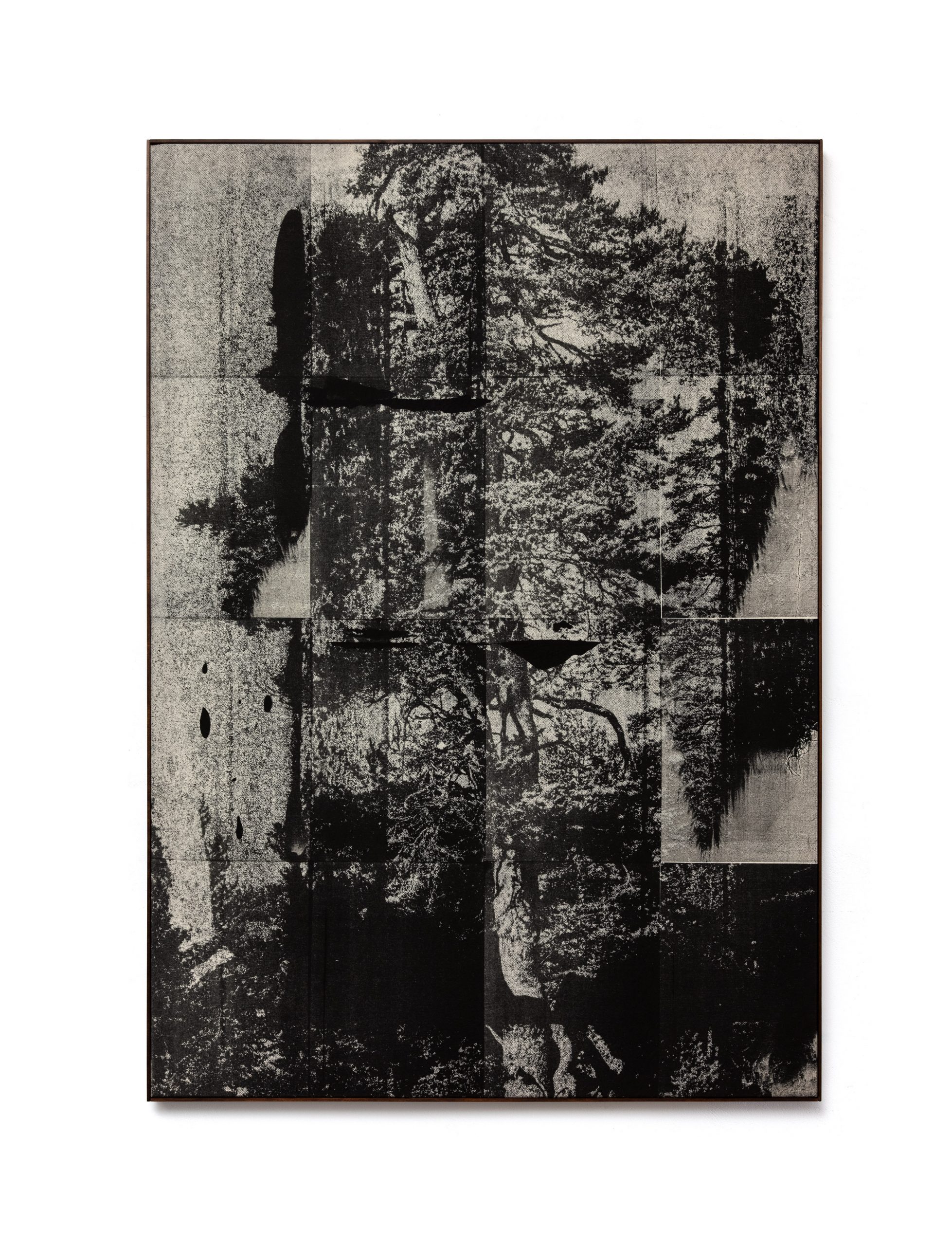 Wysocka / Pogo: Lone Pine no.8, 2025