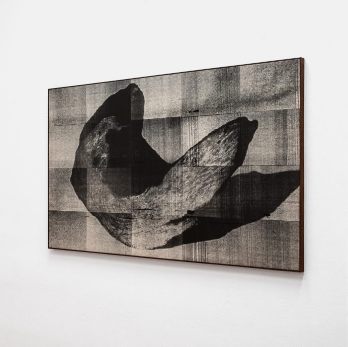 Wysocka / Pogo | Open Doors Gallery