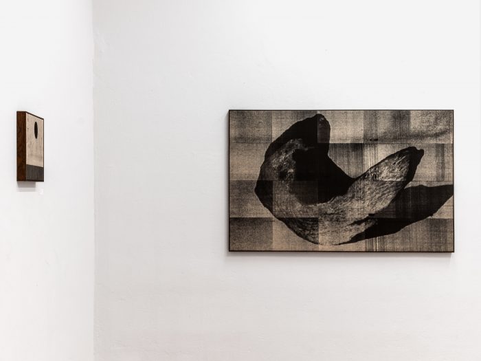 Wysocka / Pogo | Open Doors Gallery