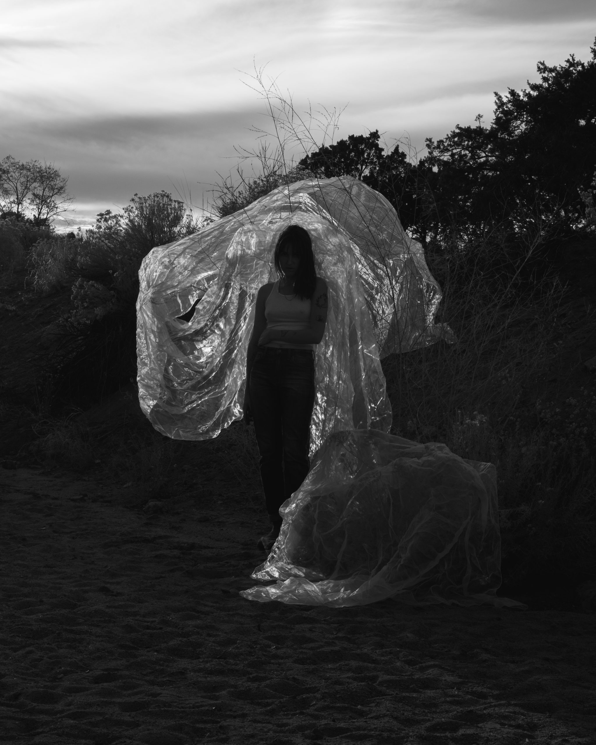 Madeline Cass: Untitled 03, 2025