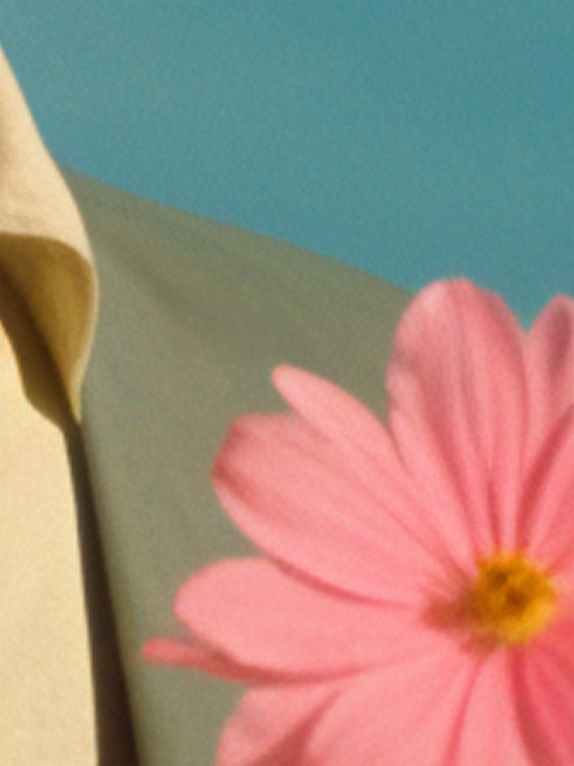 Sander Coers: POST no.65, 2025