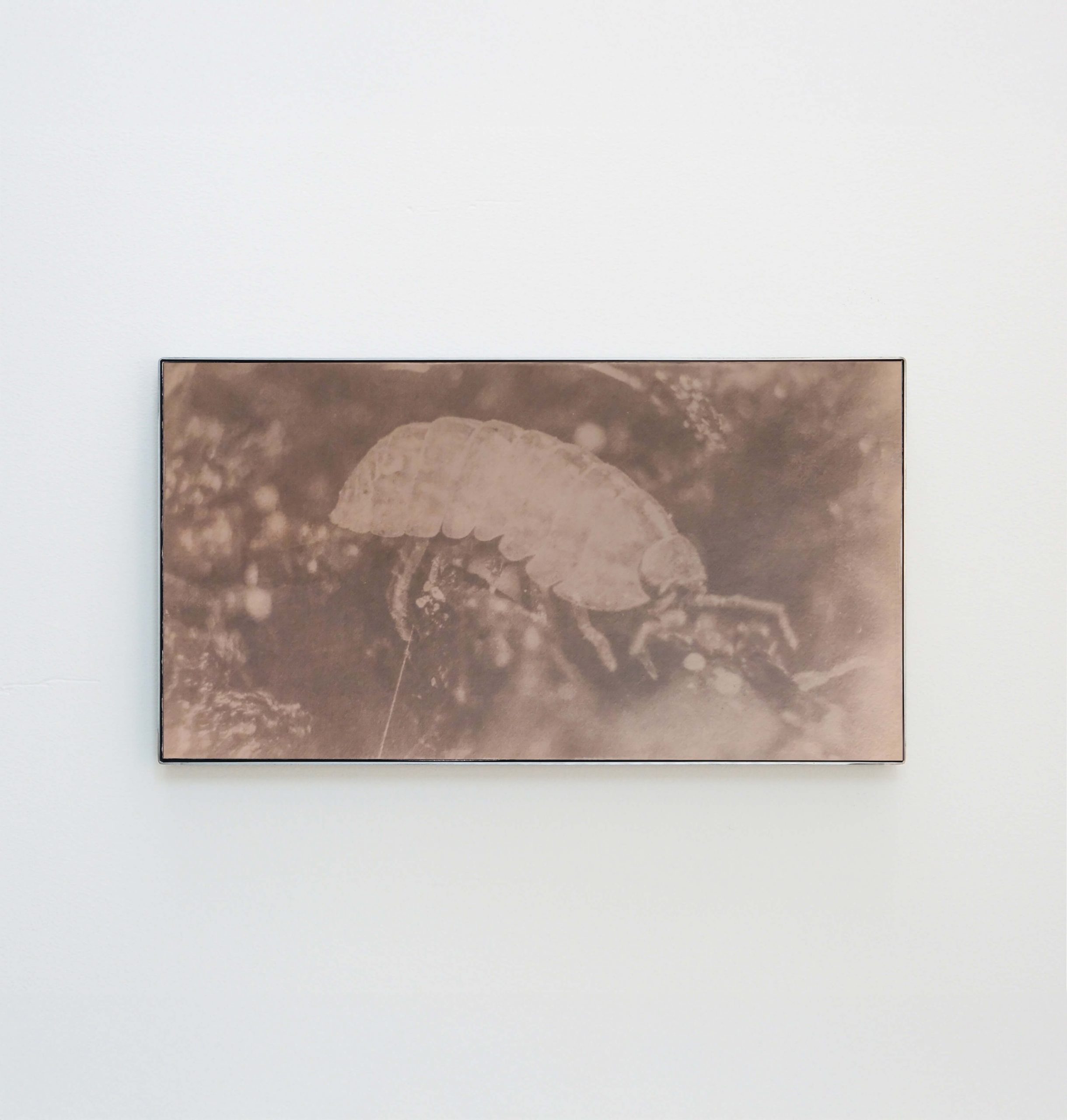 Justus de Rode | Open Doors Gallery