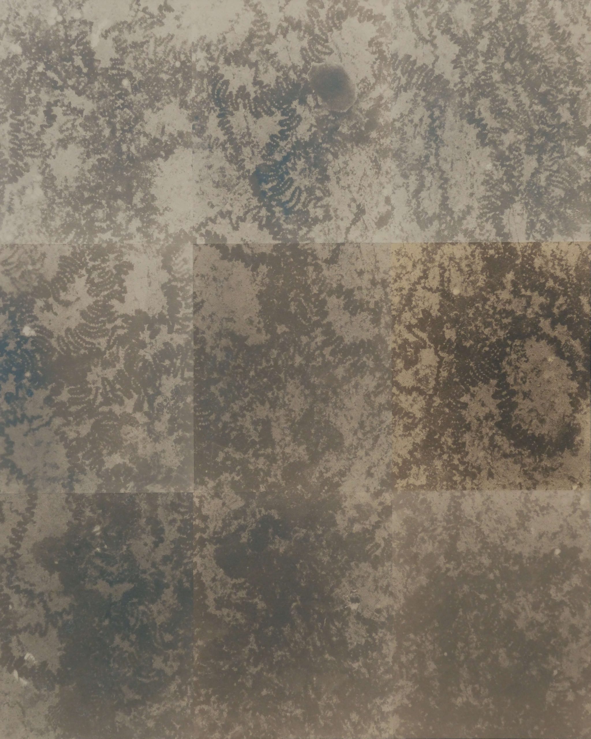 Justus de Rode | Open Doors Gallery