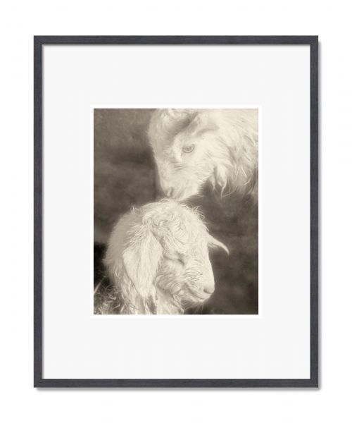 Cinzia Laliscia: Untitled 02, 2020