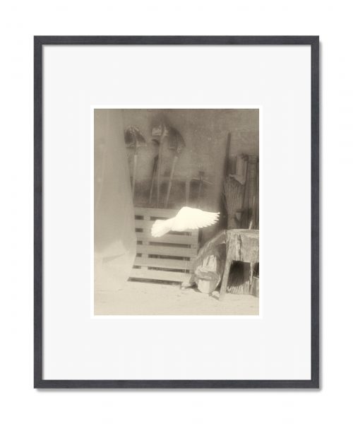 Cinzia Laliscia: Untitled 03, 2020