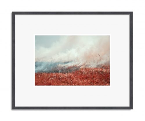 Madeline Cass: Untitled 02, 2025