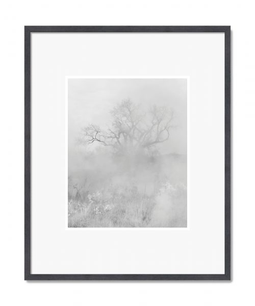 Madeline Cass: Untitled 01, 2025