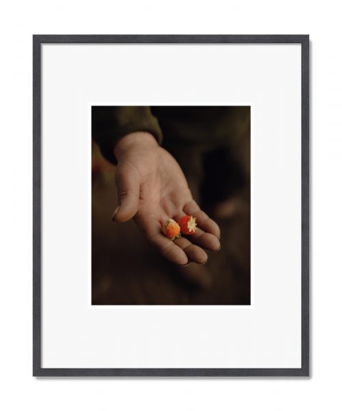 Pie Aerts: Borderland, 2022