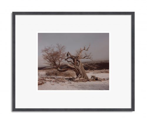 Pie Aerts: Penumbra, 2022