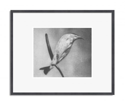 Hanna Lautreamont: Gravure 09,  2025