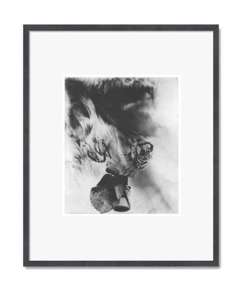 Hanna Lautreamont: Gravure 05,  2025