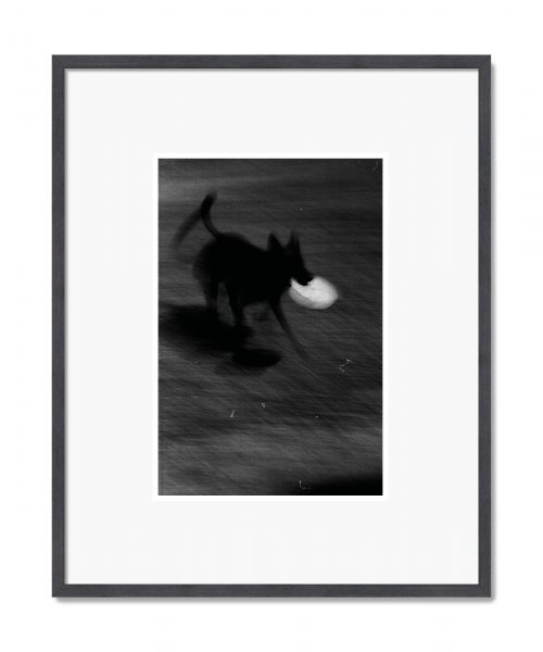 D. M. Terblanche: Grim 02, 2023