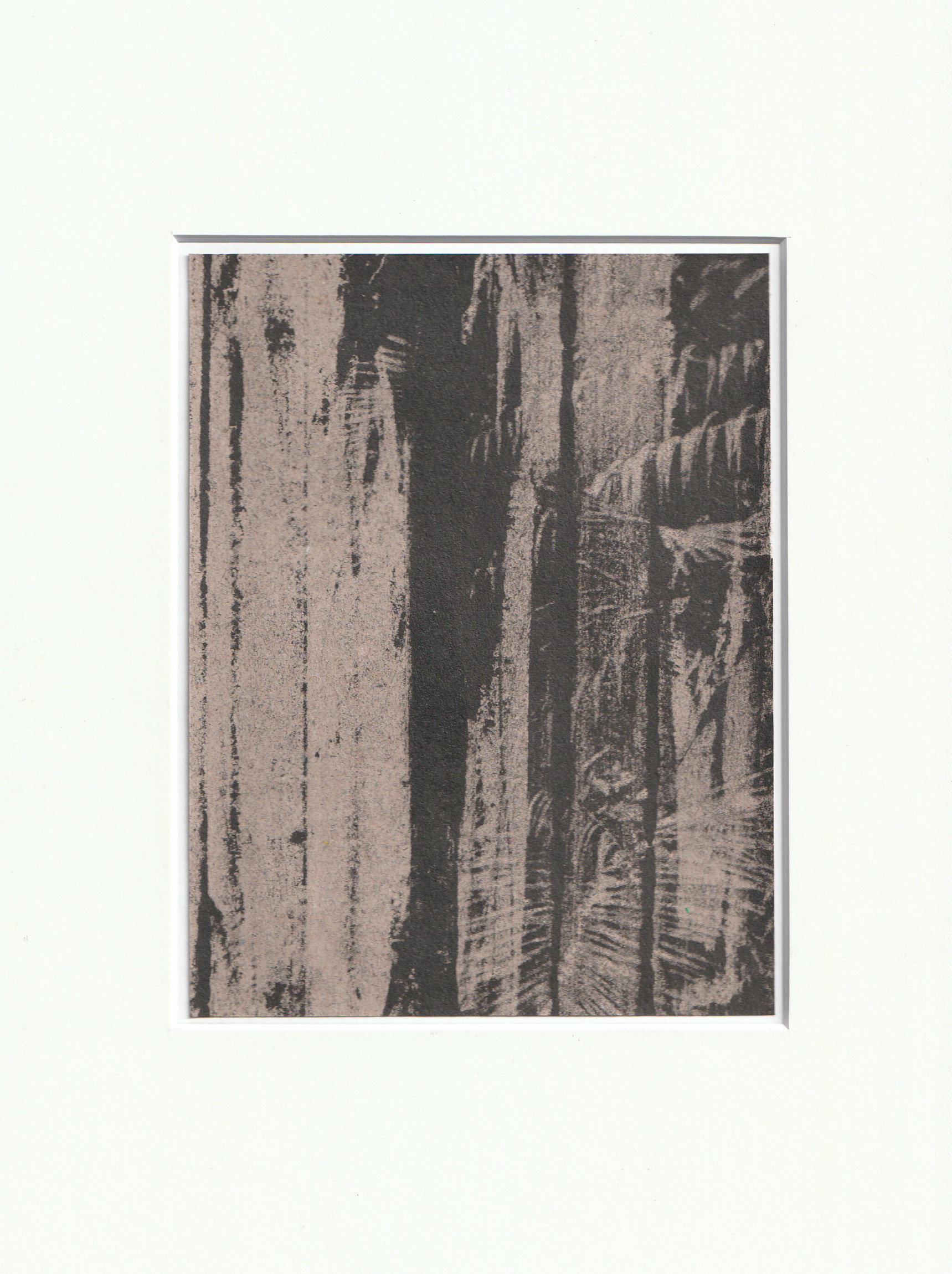 Wysocka / Pogo: FF no.1, 2024