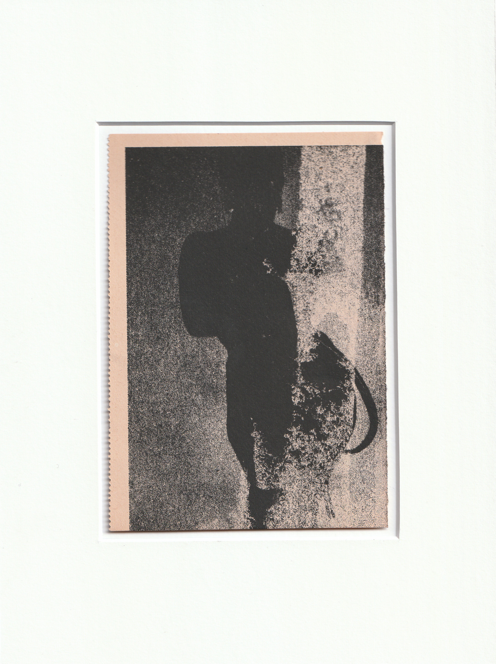 Wysocka / Pogo: FF no.10, 2024