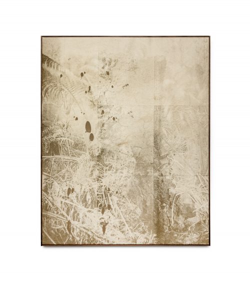 Wysocka / Pogo: Freycinetia, 2025