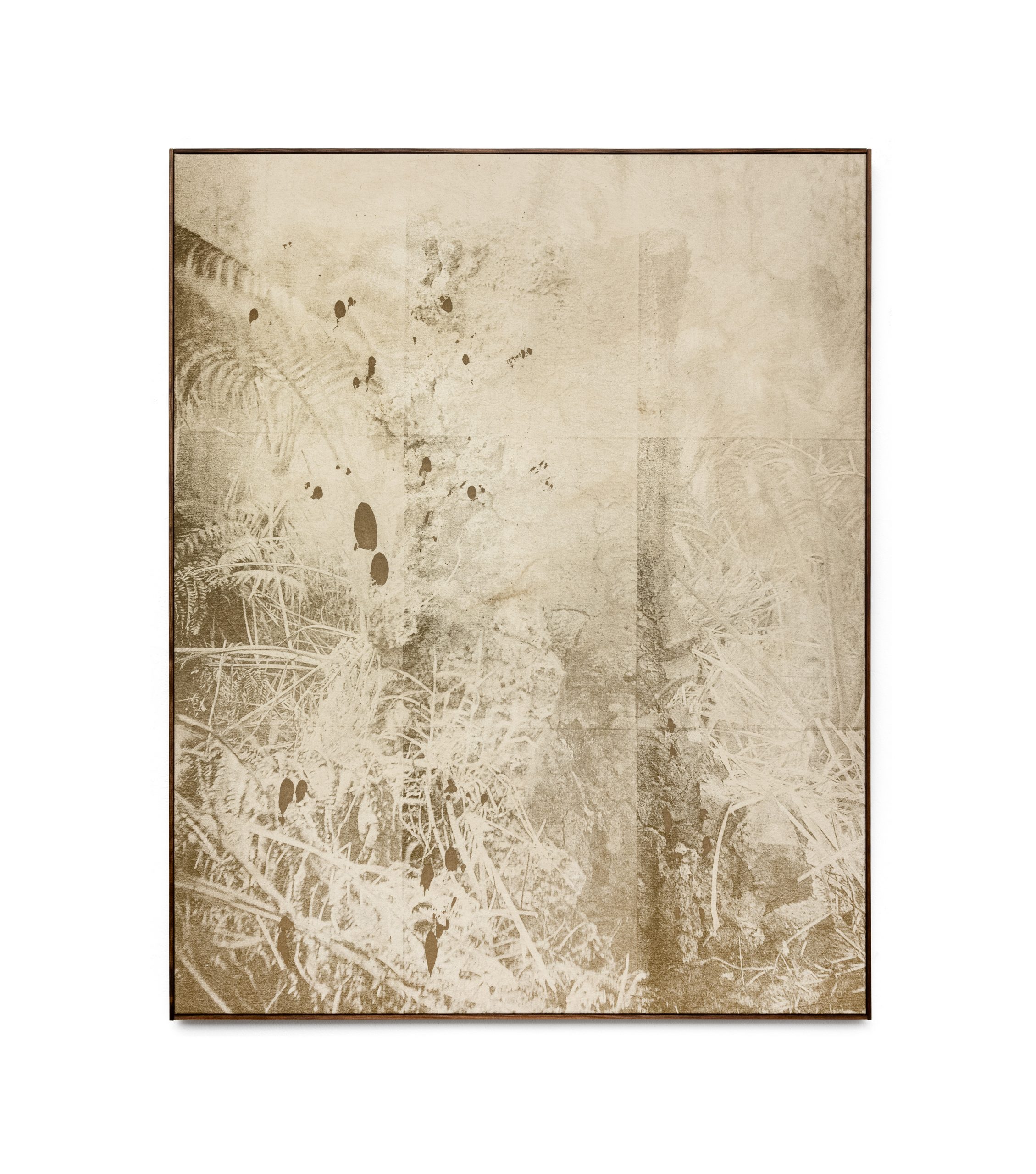 Wysocka / Pogo: Freycinetia, 2025