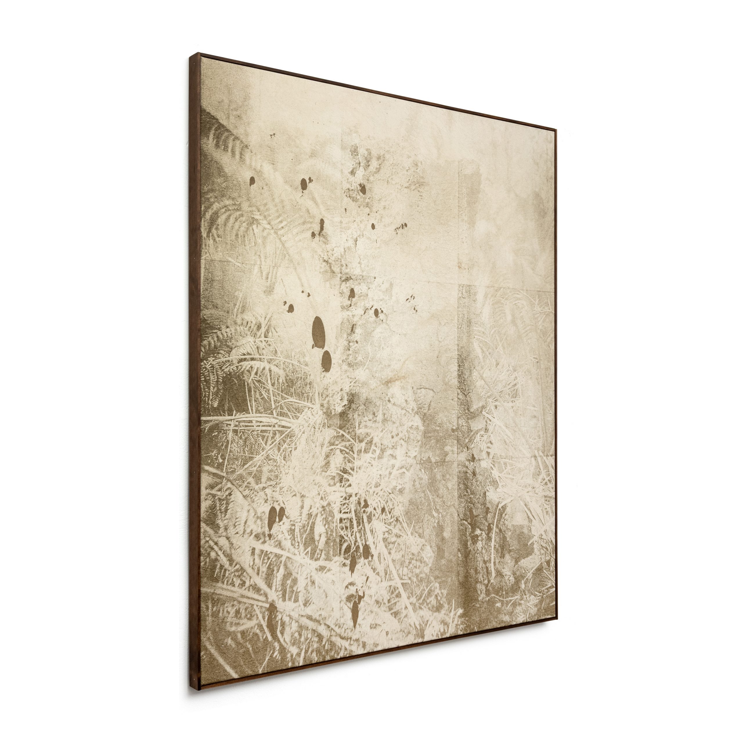 Wysocka / Pogo: Freycinetia, 2025