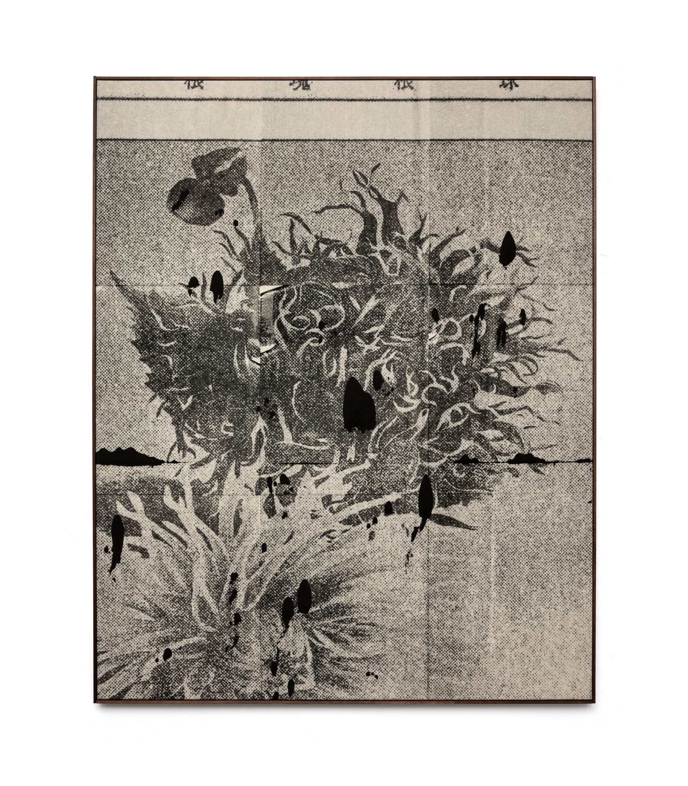 Wysocka / Pogo: Dahlia, 2025