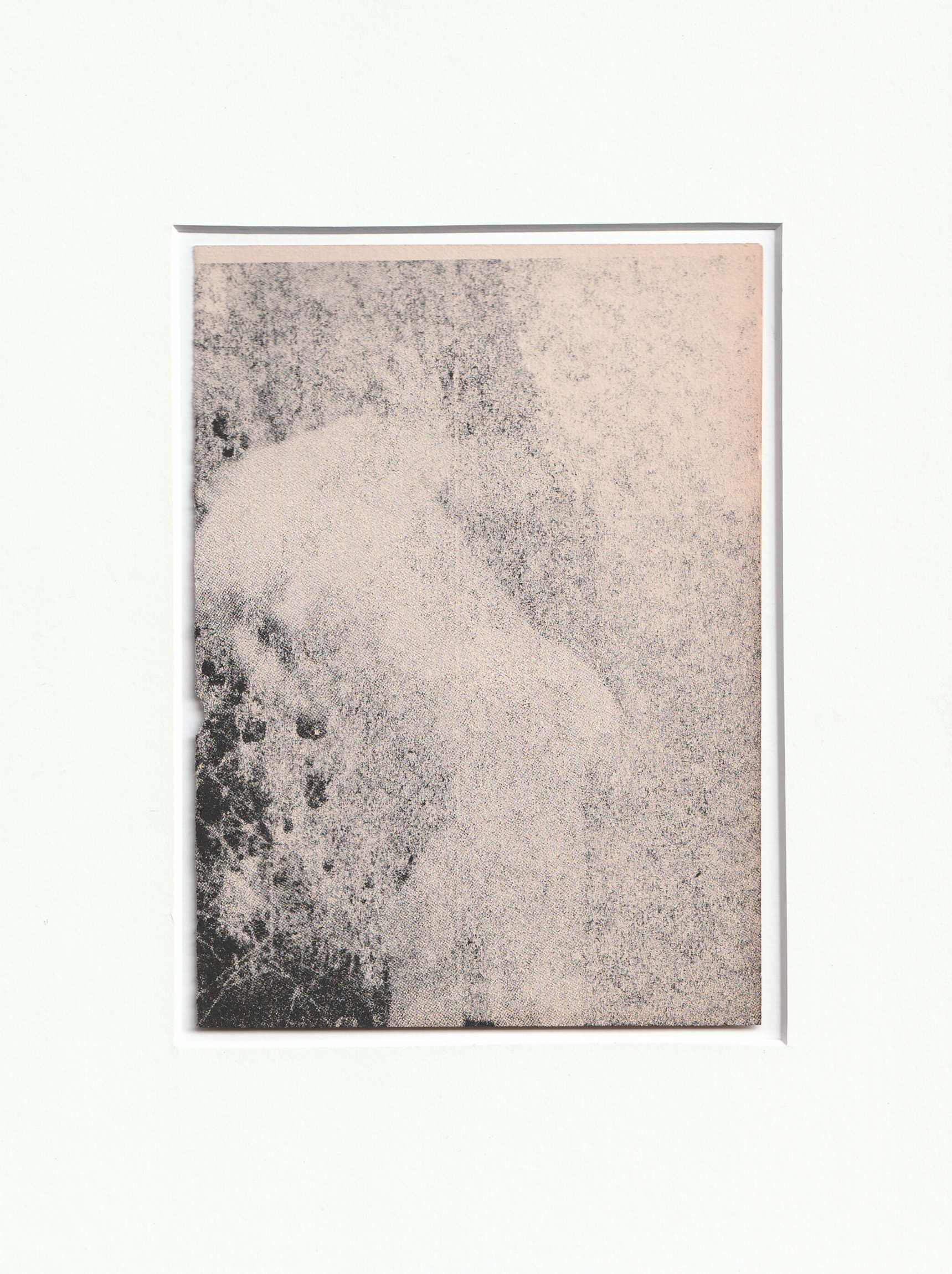 Wysocka / Pogo: FF no.12, 2024