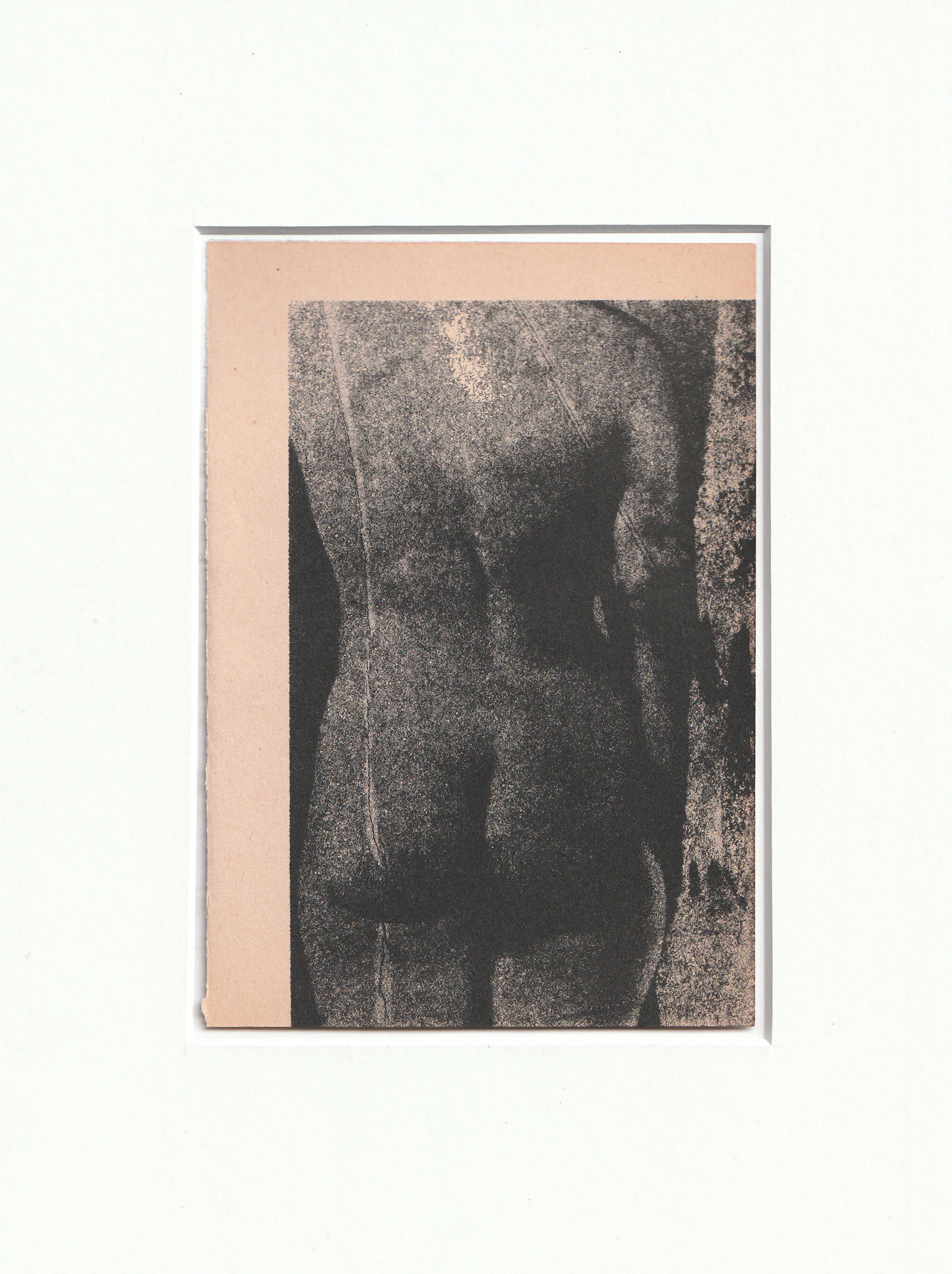 Wysocka / Pogo: FF no.4, 2024