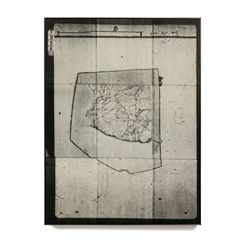 Wysocka / Pogo: Genesis Sample 72, 2023